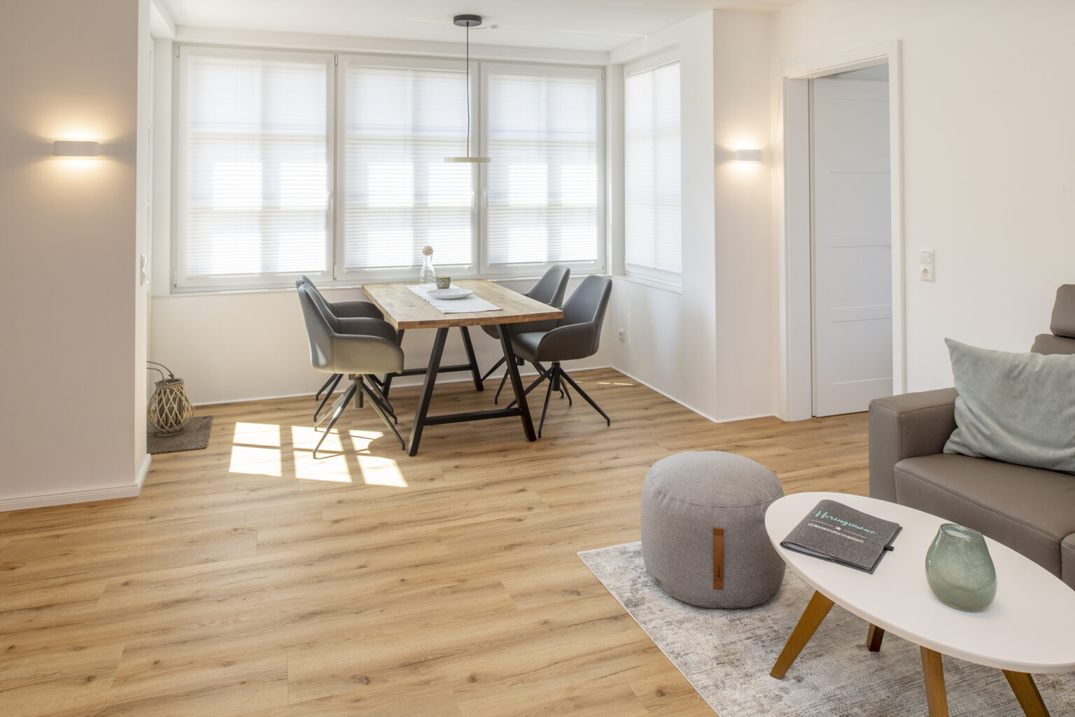 dünenlust heringsmöwe dff5509