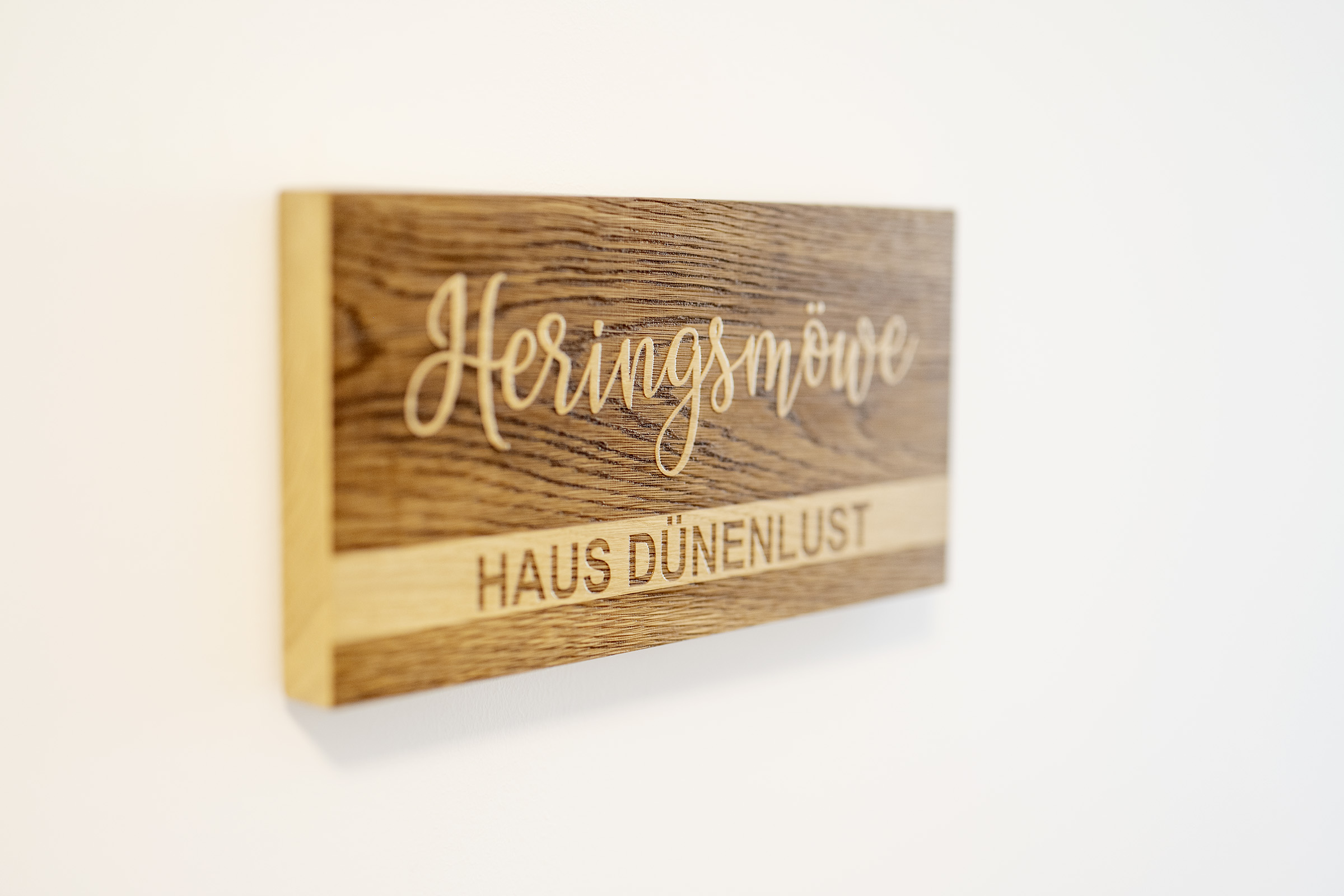 dünenlust heringsmöwe dff5679